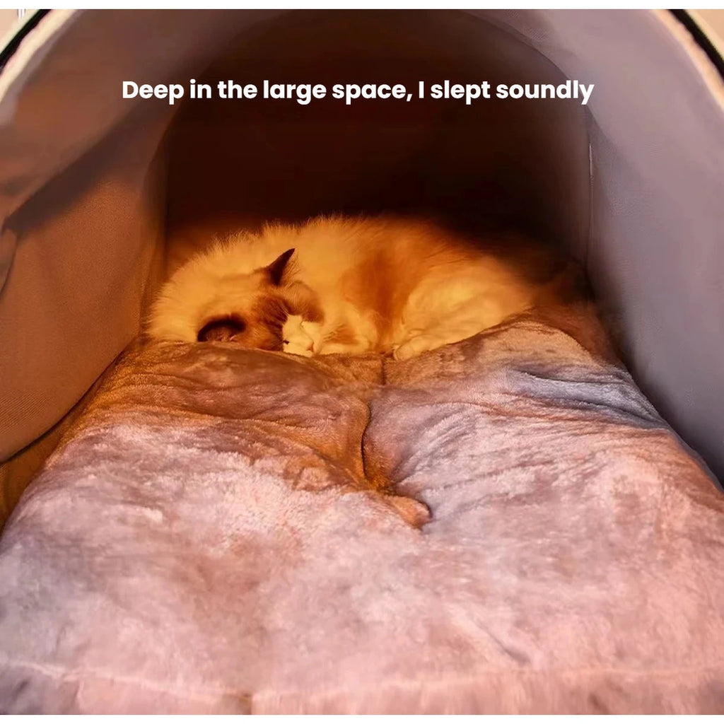 Ginger cat resting inside the enclosed cave bed