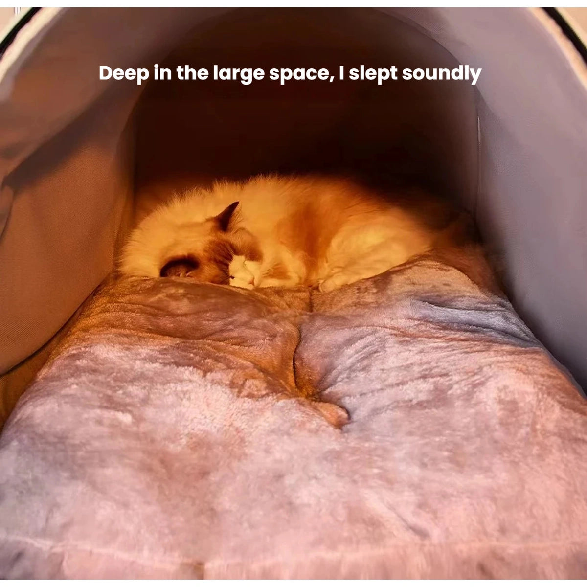 Ginger cat resting inside the enclosed cave bed
