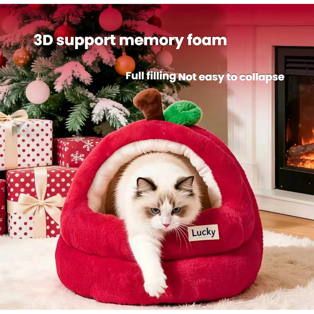White cat sitting in the padded apple-shaped cat bed