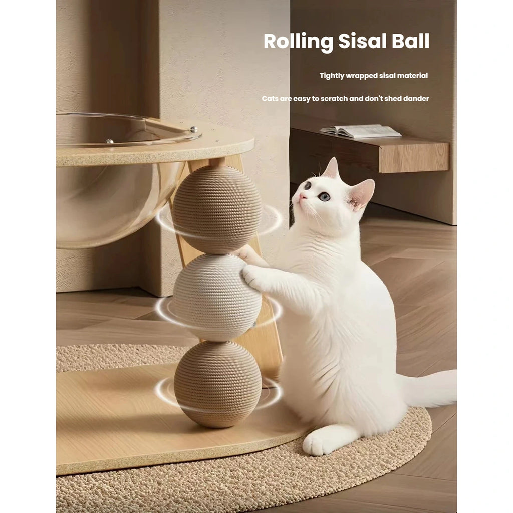 Cat playing beside the sisal-wrapped posts and rolling balls
