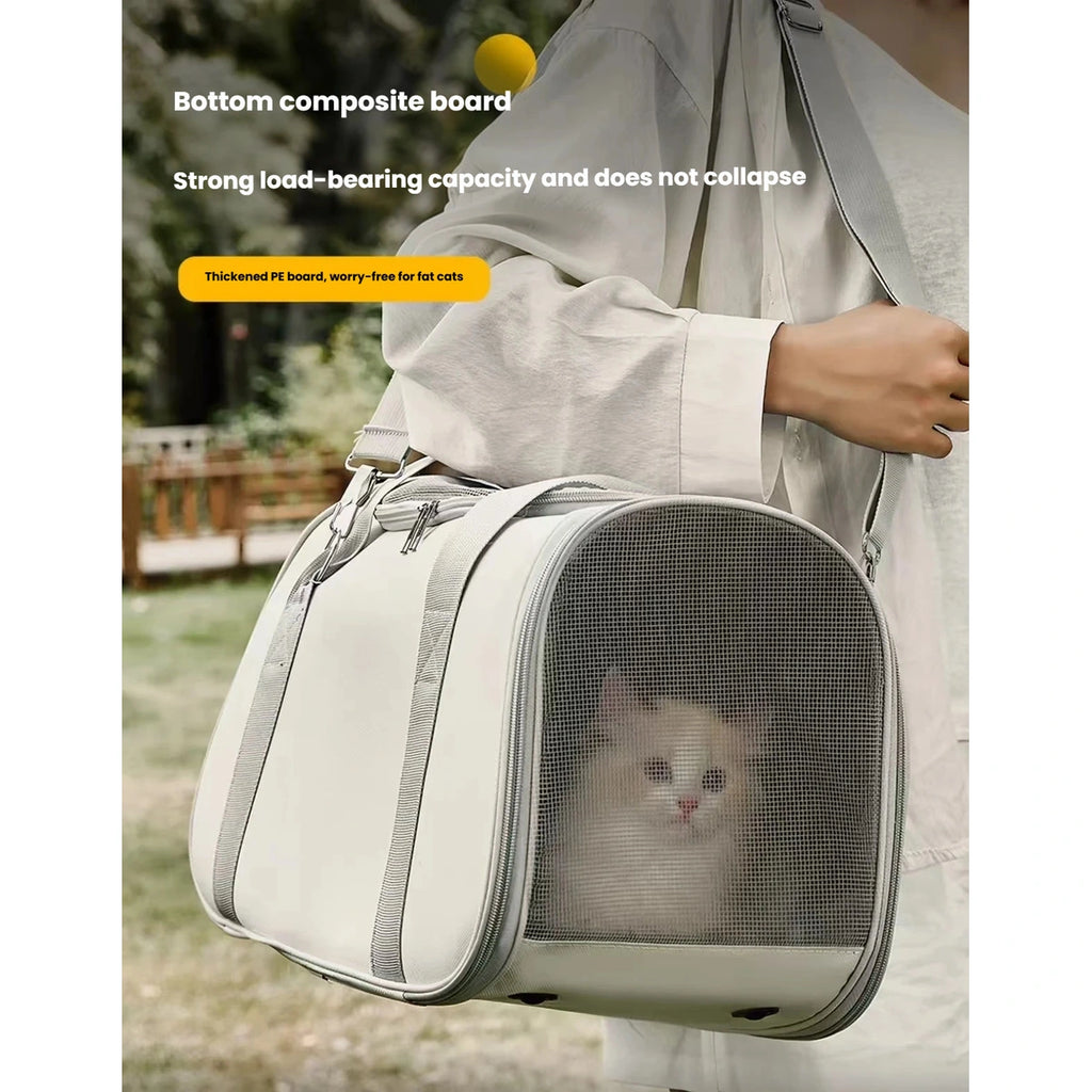 Cat visible through the side window of the carrier bag