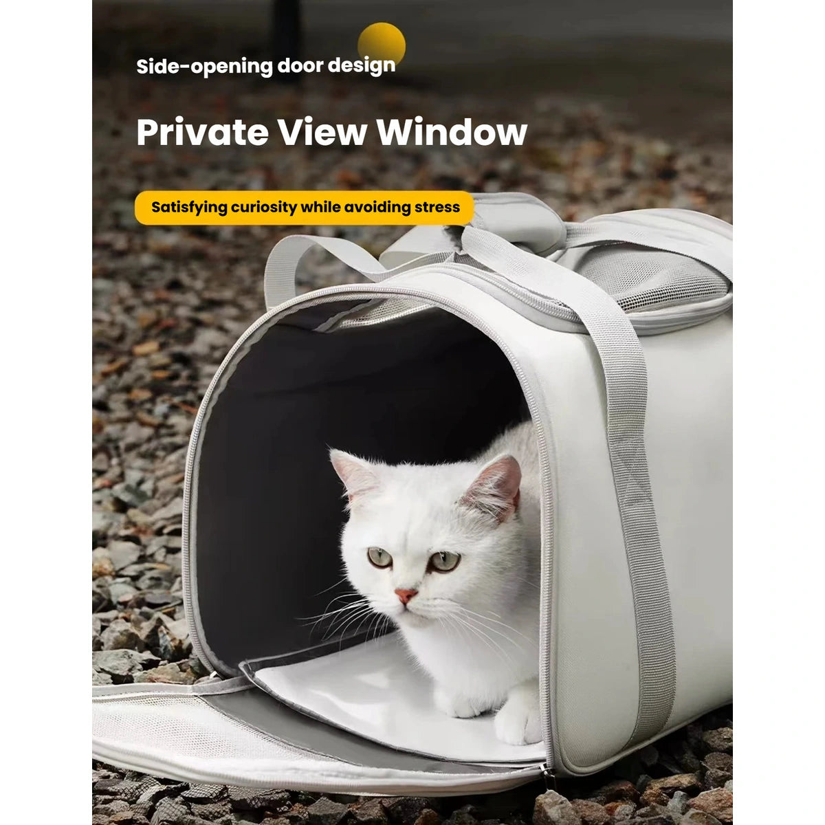Cat sitting inside the carrier with the viewing window open