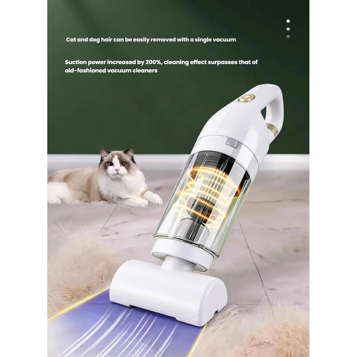 Pet hair vacuum cleaning a cat bed