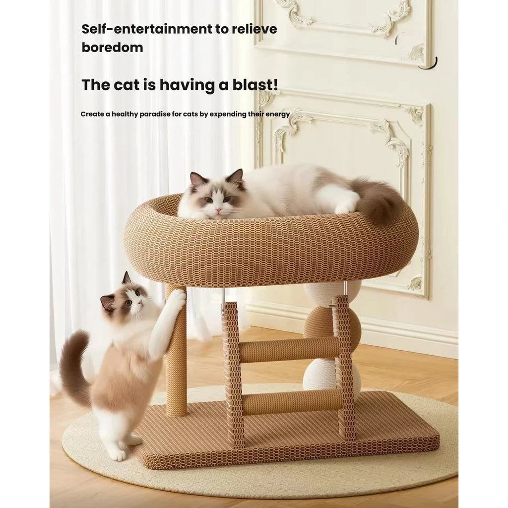 Cat reaching toward the rolling ball beneath the scratcher bed