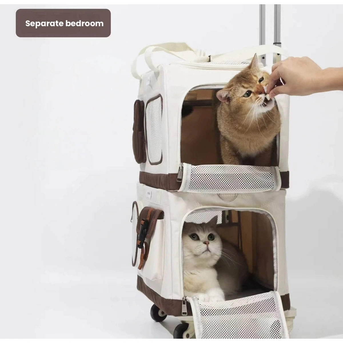 Cats inside the ventilated upper and lower carrier compartments